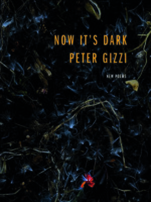 cover image of Now It's Dark